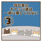 我が家のキャッツ達は一緒に寝てくれない③