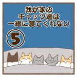 我が家のキャッツ達は一緒に寝てくれない⑤