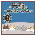 我が家のキャッツ達は一緒に寝てくれない⑧