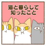 猫と暮らして知ったこと