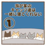 我が家のキャッツ達は一緒に寝てくれない①