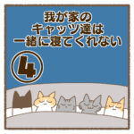 我が家のキャッツ達は一緒に寝てくれない④