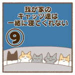 我が家のキャッツ達は一緒に寝てくれない⑨