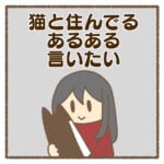 猫と住んでるあるある言いたい