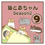 猫と赤ちゃんSeason2⑨