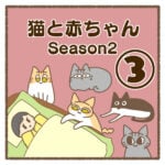 猫と赤ちゃんSeason2③