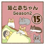 猫と赤ちゃんSeason2⑮