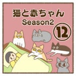 猫と赤ちゃんSeason2⑫