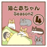 猫と赤ちゃんSeason2④