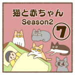 猫と赤ちゃんSeason2⑦