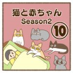 猫と赤ちゃんSeason2⑩