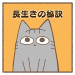 長生きの秘訣