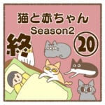 猫と赤ちゃんSeason2⑳終