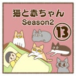 猫と赤ちゃんSeason2⑬