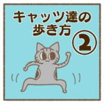 キャッツ達の歩き方②