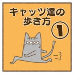 キャッツ達の歩き方①