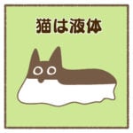 猫は液体