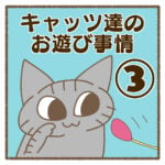 キャッツ達のお遊び事情③