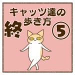 キャッツ達の歩き方⑤終