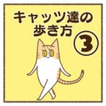 キャッツ達の歩き方③