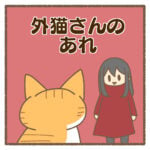 外猫さんのあれ