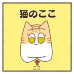 猫のここ