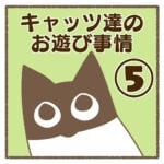 キャッツ達のお遊び事情⑤