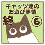 キャッツ達のお遊び事情⑥終