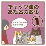 キャッツ達のあだ名の変化①