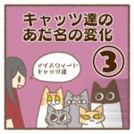 キャッツ達のあだ名の変化③