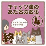 キャッツ達のあだ名の変化④終