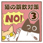 猫の誤飲対策③