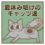 夏休み明けのキャッツ達