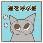 猫を呼ぶ猫