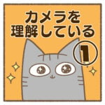 カメラを理解している①