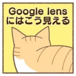 Google lensにはこう見える