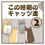 この時期のキャッツ達②