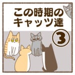 この時期のキャッツ達③