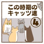 この時期のキャッツ達④