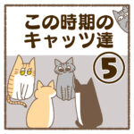 この時期のキャッツ達⑤