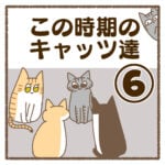 この時期のキャッツ達⑥