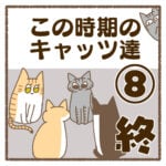 この時期のキャッツ達⑧終