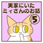 実家にいたミィさんのお話⑤