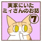 実家にいたミィさんのお話⑦