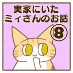 実家にいたミィさんのお話⑧