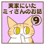 実家にいたミィさんのお話⑨