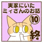 実家にいたミィさんのお話⑩終