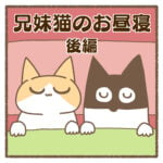 兄妹猫のお昼寝：後編