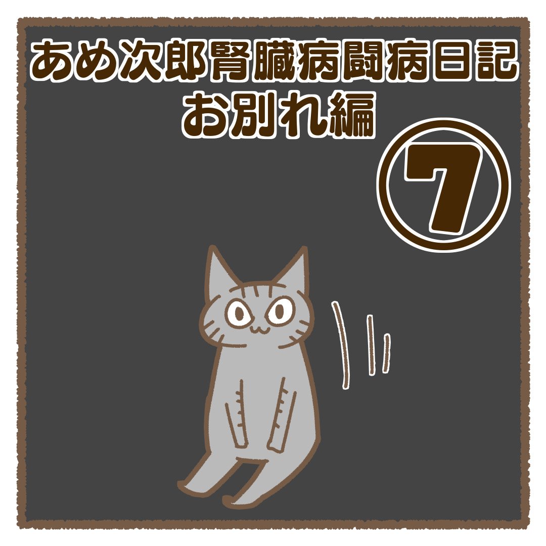 あめ次郎腎臓病闘病記:お別れ編⑦