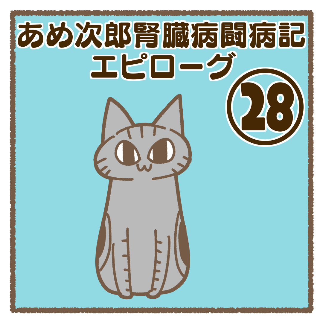 あめ次郎腎臓病闘病記:エピローグ㉘